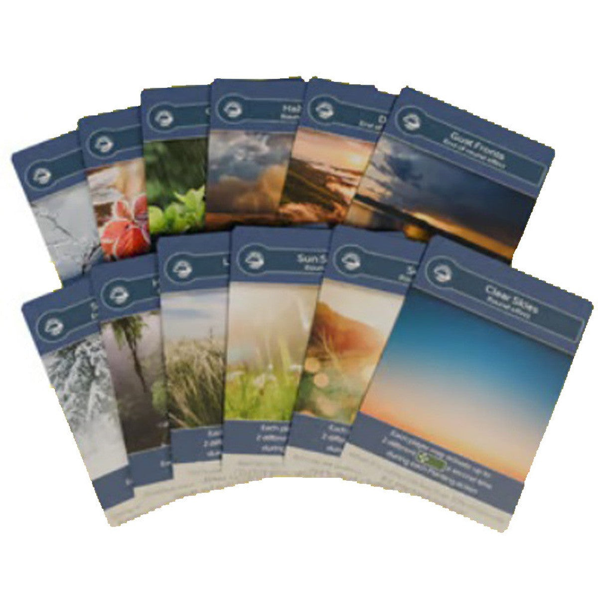 Earth Board Game - Inside Up Games