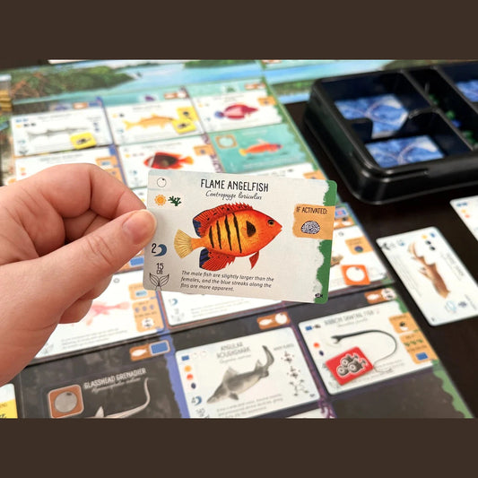 Finspan: Sharks & Reefs