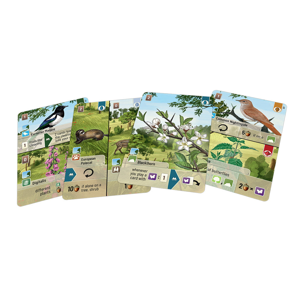 Forest Shuffle Woodland Edge