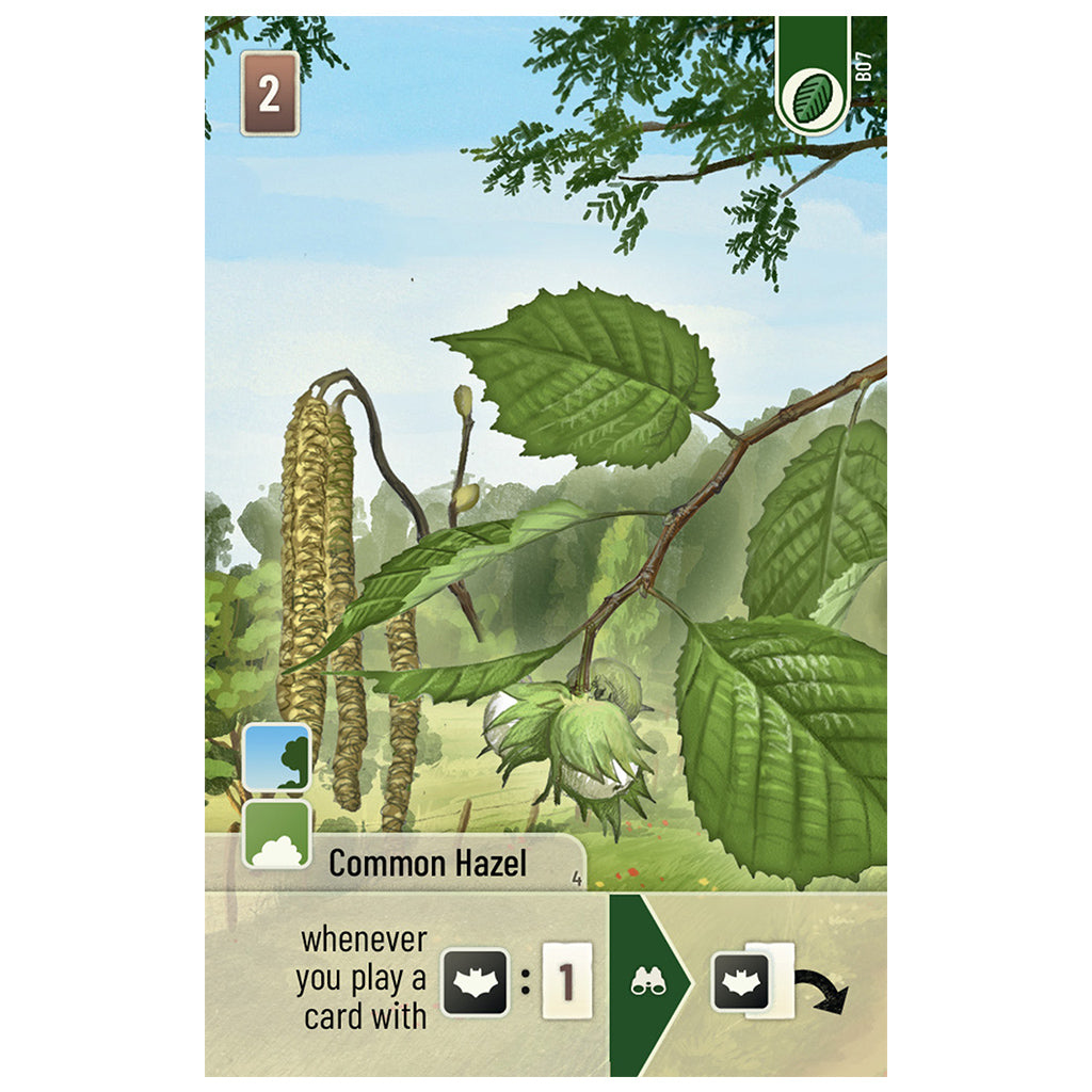 Forest Shuffle Woodland Edge