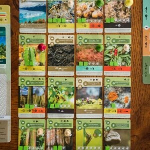 Earth Board Game - Inside Up Games