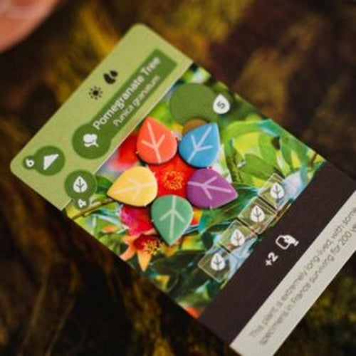 Earth Board Game - Inside Up Games