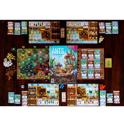 Ants
