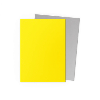 Dragon Shield: 100 Matte Dual