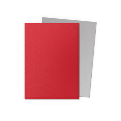 Dragon Shield: 100 Matte Dual