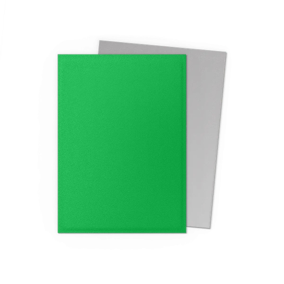 Dragon Shield: 100 Matte Dual