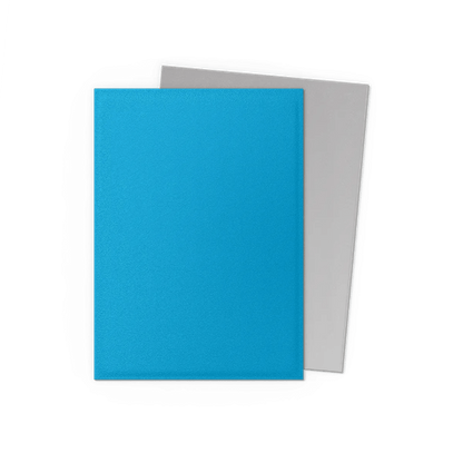 Dragon Shield: 100 Matte Dual