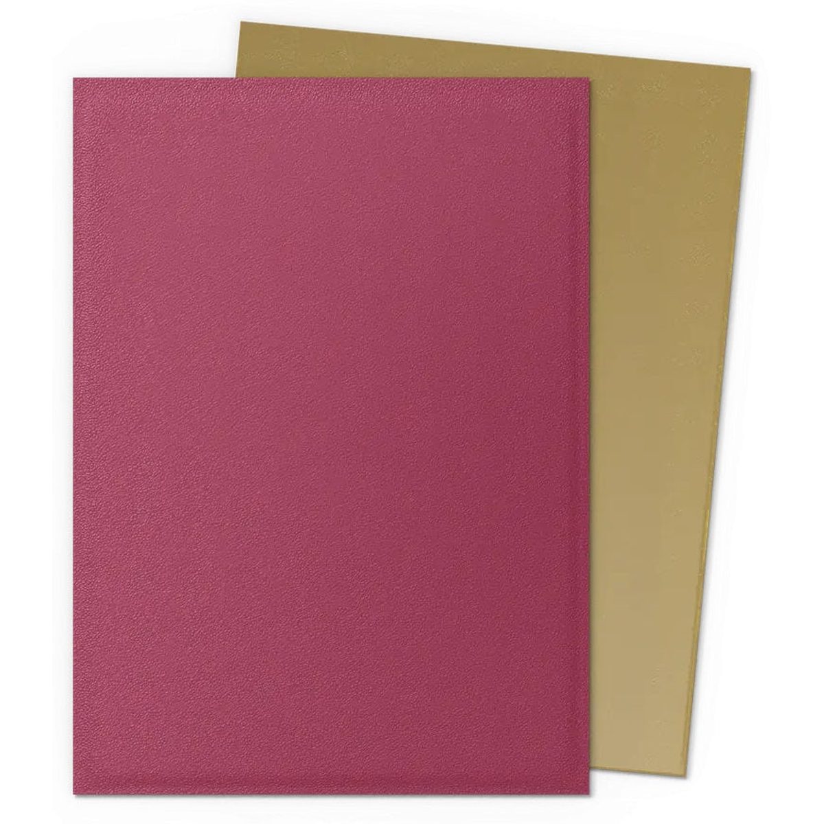 Dragon Shield: 100 Matte Dual
