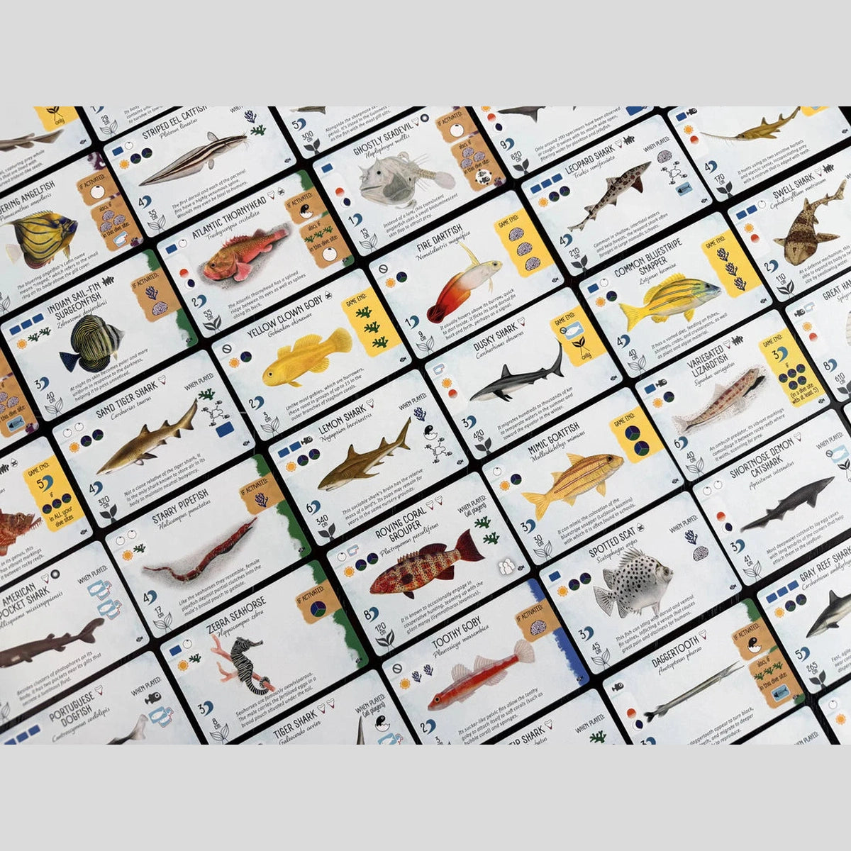 Finspan: Sharks & Reefs
