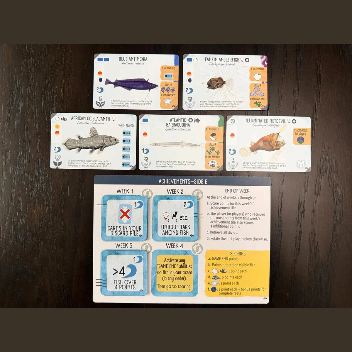 Finspan: Sharks & Reefs