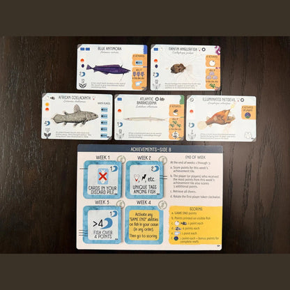 Finspan: Sharks & Reefs