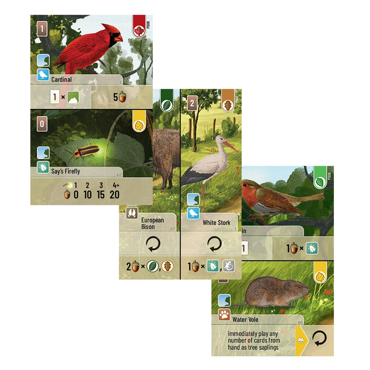 Forest Shuffle: Exploration