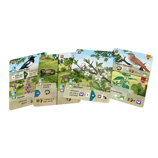 Forest Shuffle Woodland Edge