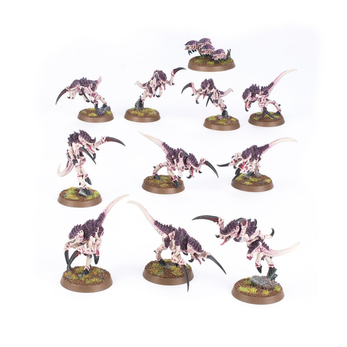 Tyranids: Hormagaunts