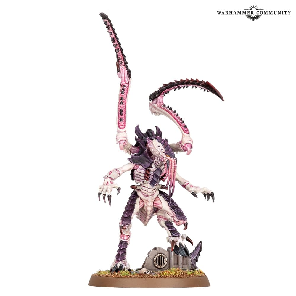 Warhammer 40000: Tyranids - Lictor