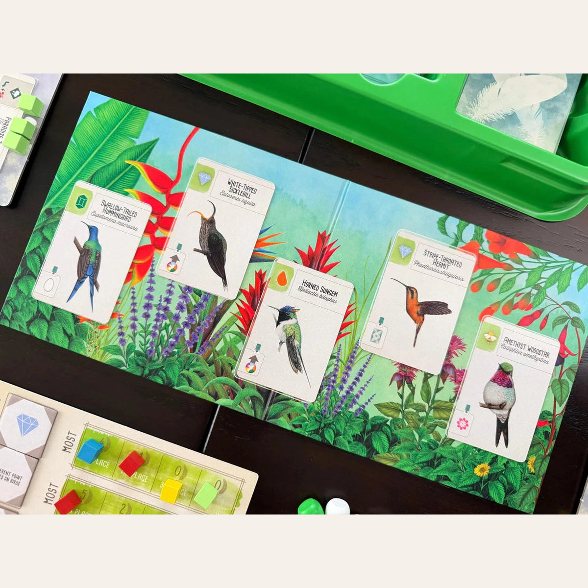 Wingspan Americas Expansion