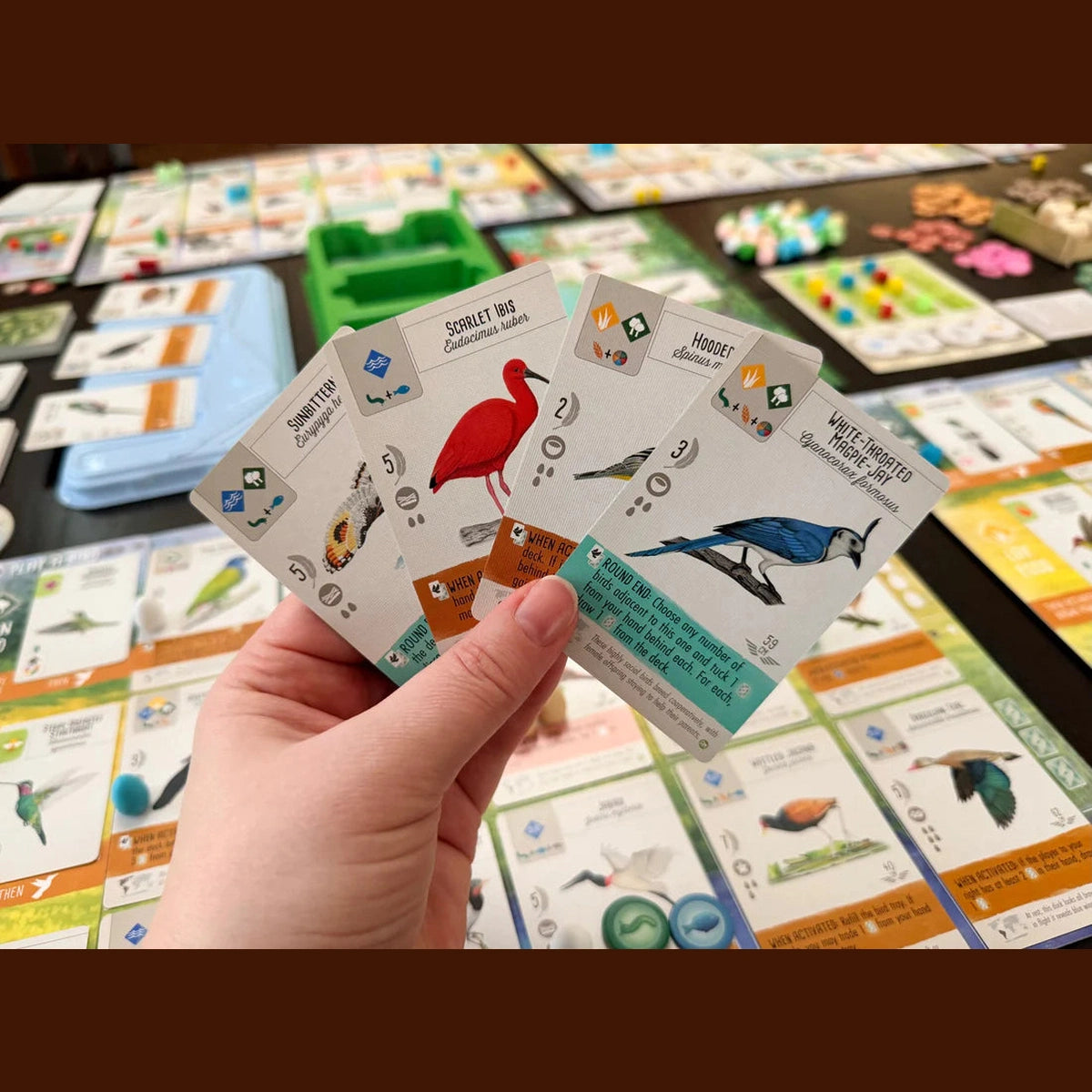 Wingspan Americas Expansion