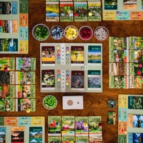 Earth Board Game - Inside Up Games